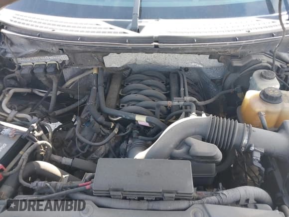 ✅ 2013 Ford F-150 XL • VIN: 1FTFX1EF1DFD78839 • Lot: 42009664. Wystawiony na IAAI z przebiegiem Nie podano. Bezpłatny archiwum sprzedaży aukcyjnych z USA i szczegółowy raport historii pojazdu na DreamBid. Zdjęcie 9.