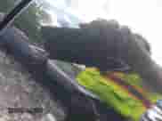 2005 Chevrolet Impala Police Police z VIN 2G1WF55K859378699, wystawiony jako IAAI lot #42249329 z przebiegiem 205 046 mil mil oraz . Historia ofert i sprzedaży dostępna na DreamBid. Obrazek 15.