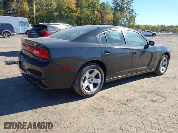 ✅ 2014 Dodge Charger Police • VIN: 2C3CDXAT5EH132892 • Лот: 43452302. Опубликован ранее на IAAI с пробегом 99 653 миль. Бесплатный доступ к архиву аукционных продаж из США и подробный отчёт об истории автомобиля на DreamBid. Изображение 4.