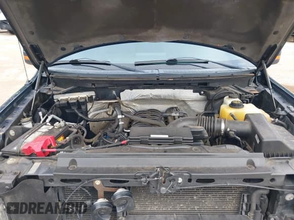 ✅ 2013 Ford F-150 XL • VIN: 1FTFW1EF7DKF84323 • Lot: 42549763. Wystawiony na IAAI z przebiegiem 133 745 mil. Bezpłatny archiwum sprzedaży aukcyjnych z USA i szczegółowy raport historii pojazdu na DreamBid. Zdjęcie 10.