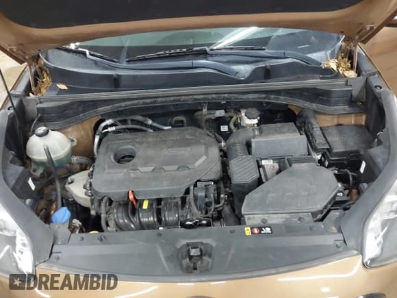 ✅ 2019 Kia Sportage EX • VIN: KNDPNCAC1K7577740 • Лот: 43689617. Опубликован ранее на IAAI с пробегом 139 472 миль. Бесплатный доступ к архиву аукционных продаж из США и подробный отчёт об истории автомобиля на DreamBid. Изображение 10.