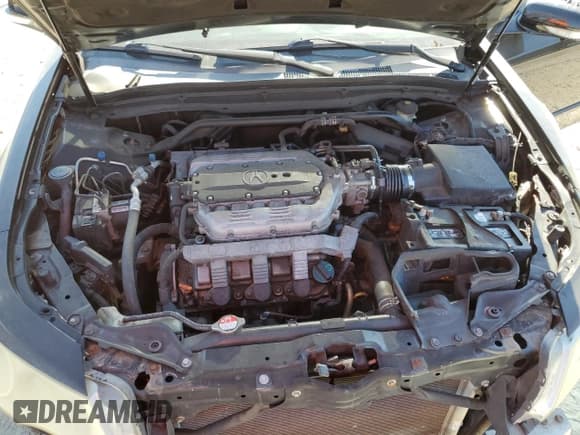 ✅ 2009 Acura TL • VIN: 19UUA86259A016225 • Лот: 93229195. Опубликован ранее на Copart с пробегом 221 959 миль. Бесплатный доступ к архиву аукционных продаж из США и подробный отчёт об истории автомобиля на DreamBid. Изображение 11.