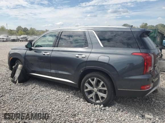 2020 Hyundai Palisade SEL with VIN KM8R4DHE7LU149954, listed as a Copart auction lot 70291804 with 48,488 mi miles and Salvage title. Bid and sale history available at DreamBid. Image 2.