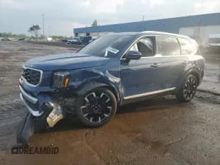 ✅ 2024 Kia Telluride SX • VIN: 5XYP54GC8RG540002 • Lot: 61476405. Listed on Copart with 6,831 mi. Free auction sales archive from the USA and detailed vehicle history report at DreamBid. Image 1.