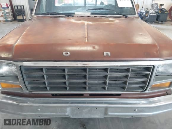 ✅ 1981 Ford F-150 • VIN: 1FTDF15F3BUA40006 • Лот: 42456045. Опубликован ранее на IAAI с пробегом 53 417 миль. Бесплатный доступ к архиву аукционных продаж из США и подробный отчёт об истории автомобиля на DreamBid. Изображение 6.