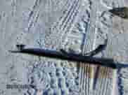 2008 Saturn VUE XR z VIN 3GSCL53798S534844, wystawiony jako Copart lot #89021005 z przebiegiem 107 364 mil mil oraz Czysty tytuł • Clean title. Historia ofert i sprzedaży dostępna na DreamBid. Obrazek 13.