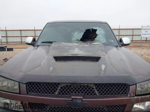 ✅ 2003 Chevrolet Silverado 1500 LS • VIN: 1GCEC14X73Z164338 • Lot: 43808175. Wystawiony na IAAI z przebiegiem Nie podano. Bezpłatny archiwum sprzedaży aukcyjnych z USA i szczegółowy raport historii pojazdu na DreamBid. Zdjęcie 6.