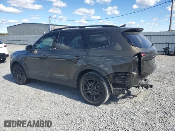 ✅ 2024 Kia Telluride SX X-Pro • VIN: 5XYP5DGCXRG497427 • Лот: 85340945. Опубликован ранее на Copart с пробегом 23 231 миль. Бесплатный доступ к архиву аукционных продаж из США и подробный отчёт об истории автомобиля на DreamBid. Изображение 2.