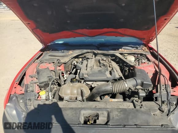 ✅ 2016 Ford Mustang EcoBoost Premium • VIN: 1FATP8UH7G5295754 • Lot: 82553835. Listed on Copart with 204,000 mi. Free auction sales archive from the USA and detailed vehicle history report at DreamBid. Image 11.