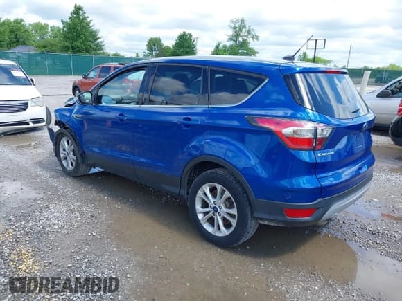 ✅ 2017 Ford Escape SE • VIN: 1FMCU9GD8HUA90786 • Lot: 42300003. Wystawiony na IAAI z przebiegiem 123 372 mil. Bezpłatny archiwum sprzedaży aukcyjnych z USA i szczegółowy raport historii pojazdu na DreamBid. Zdjęcie 3.