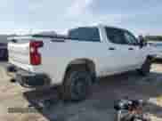 2021 Chevrolet Silverado 1500 Custom Trail Boss with VIN 1GCPYCEFXMZ164251, listed as a Copart auction lot 80461925 with Not provided miles and Salvage title. Bid and sale history available at DreamBid. Image 3.