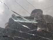 ✅ 2024 Kia Telluride SX X-Pro • VIN: 5XYP5DGC3RG416638 • Lot: 62874765. Wystawiony na Copart z przebiegiem Nie podano. Bezpłatny archiwum sprzedaży aukcyjnych z USA i szczegółowy raport historii pojazdu na DreamBid. Zdjęcie 13.