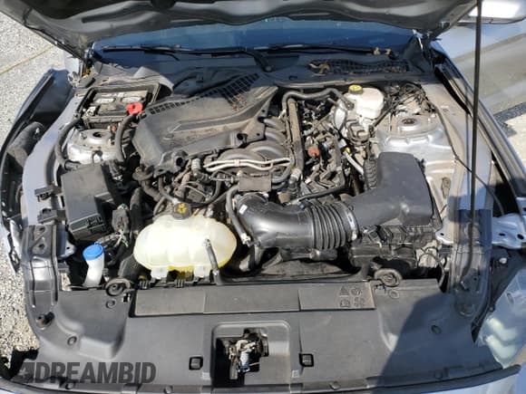 ✅ 2021 Ford Mustang GT • VIN: 1FA6P8CF4M5138322 • Lot: 80683095. Listed on Copart with 32,063 mi. Free auction sales archive from the USA and detailed vehicle history report at DreamBid. Image 11.