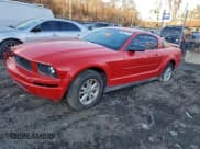 ✅ 2005 Ford Mustang Deluxe • VIN: 1ZVFT80NX55156923 • Lot: 96801755. Listed on Copart with Not provided. Free auction sales archive from the USA and detailed vehicle history report at DreamBid. Image 1.