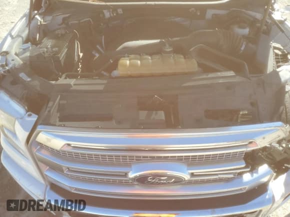 ✅ 2016 Ford F-150 Platinum • VIN: 1FTEW1EG7GFA42334 • Лот: 85666795. Опубликован ранее на Copart с пробегом 117 230 миль. Бесплатный доступ к архиву аукционных продаж из США и подробный отчёт об истории автомобиля на DreamBid. Изображение 11.