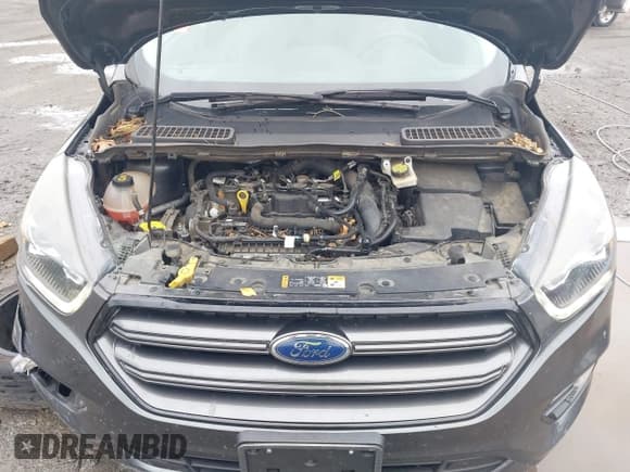 ✅ 2019 Ford Escape SEL • VIN: 1FMCU0HD2KUB75138 • Lot: 43522632. Wystawiony na IAAI z przebiegiem 138 281 mil. Bezpłatny archiwum sprzedaży aukcyjnych z USA i szczegółowy raport historii pojazdu na DreamBid. Zdjęcie 10.
