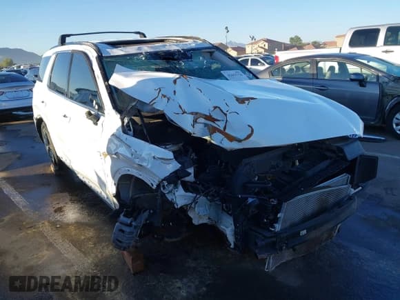 ✅ 2024 Hyundai Palisade XRT • VIN: KM8R34GE0RU689627 • Lot: 42655756. Wystawiony na IAAI z przebiegiem Nie podano. Bezpłatny archiwum sprzedaży aukcyjnych z USA i szczegółowy raport historii pojazdu na DreamBid. Zdjęcie 1.