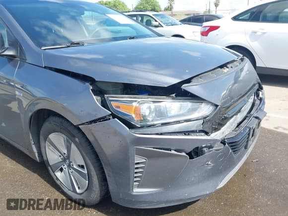 ✅ 2019 Hyundai Ioniq Blue • VIN: KMHC65LCXKU125030 • Lot: 41912501. Wystawiony na IAAI z przebiegiem 135 764 mil. Bezpłatny archiwum sprzedaży aukcyjnych z USA i szczegółowy raport historii pojazdu na DreamBid. Zdjęcie 17.