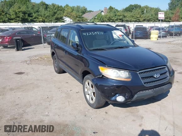 ✅ 2008 Hyundai Santa Fe SE • VIN: 5NMSH13E88H181116 • Lot: 43258941. Listed on IAAI with 254,034 mi. Free auction sales archive from the USA and detailed vehicle history report at DreamBid. Image 1.