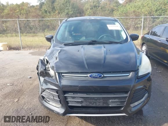 ✅ 2014 Ford Escape SE • VIN: 1FMCU0GX8EUE28205 • Lot: 43699660. Wystawiony na IAAI z przebiegiem 156 657 mil. Bezpłatny archiwum sprzedaży aukcyjnych z USA i szczegółowy raport historii pojazdu na DreamBid. Zdjęcie 12.
