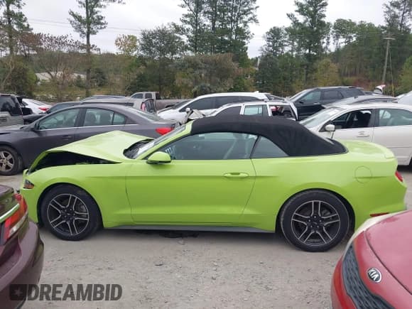 ✅ 2020 Ford Mustang EcoBoost Premium • VIN: 1FATP8UH9L5101347 • Lot: 43377781. Listed on IAAI with 99,545 mi. Free auction sales archive from the USA and detailed vehicle history report at DreamBid. Image 14.
