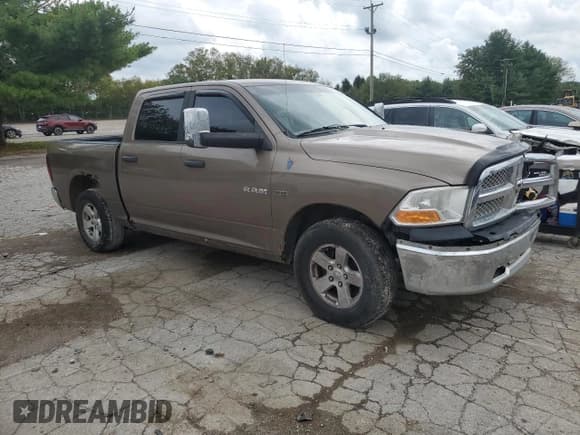 ✅ 2009 Dodge 1500 SLT • VIN: 1D3HV13T69S742038 • Lot: 79814634. Listed on Copart with 184,287 mi. Free auction sales archive from the USA and detailed vehicle history report at DreamBid. Image 4.