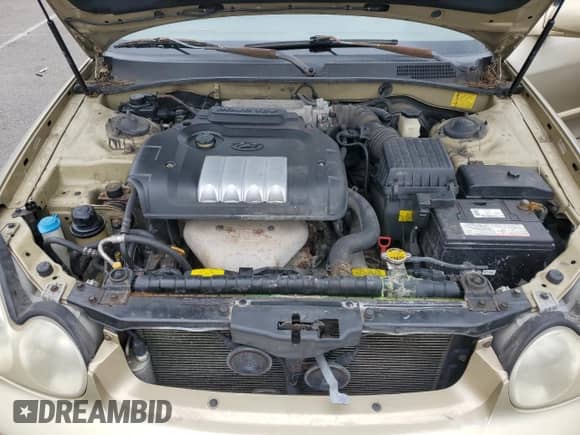 2004 Hyundai Sonata with VIN KMHWF25SX4A061866, listed as a Copart auction lot 58513755 with 168,786 mi miles and Salvage title. Bid and sale history available at DreamBid. Image 11.