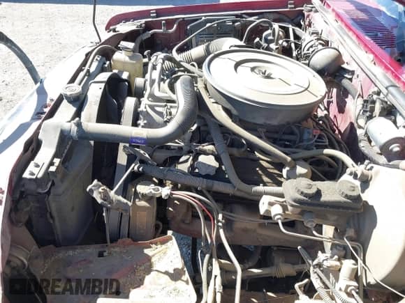 1994 Dodge Dakota with VIN 1B7GG23Y4RS589157, listed as a IAAI auction lot 41869916 with 122,140 mi miles and . Bid and sale history available at DreamBid. Image 6.