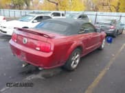 ✅ 2006 Ford Mustang GT Deluxe • VIN: 1ZVHT85H365242880 • Lot: 43632803. Listed on IAAI with Not provided. Free auction sales archive from the USA and detailed vehicle history report at DreamBid. Image 4.