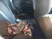 2023 Chevrolet TrailBlazer LT с VIN KL79MPSL5PB134784, выставлен на аукционе IAAI как лот 43330119 с пробегом Не указан миль и . История ставок и продаж доступна на DreamBid. Изображение 8.