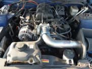 ✅ 2006 Ford Mustang Standard • VIN: 1ZVFT80N065219920 • Lot: 43519119. Wystawiony na IAAI z przebiegiem Nie podano. Bezpłatny archiwum sprzedaży aukcyjnych z USA i szczegółowy raport historii pojazdu na DreamBid. Zdjęcie 10.