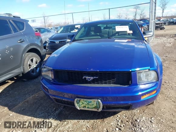 ✅ 2005 Ford Mustang Deluxe • VIN: 1ZVFT80N455145187 • Лот: 43810779. Опубликован ранее на IAAI с пробегом 157 263 миль. Бесплатный доступ к архиву аукционных продаж из США и подробный отчёт об истории автомобиля на DreamBid. Изображение 12.
