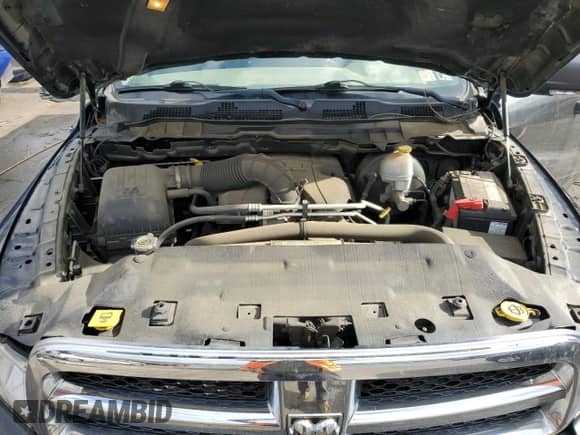 2009 Dodge 1500 SLT с VIN 1D3HV18T69S724079, выставлен на аукционе Copart как лот 81457754 с пробегом 117 803 миль миль и Списание • Salvage title. История ставок и продаж доступна на DreamBid. Изображение 11.