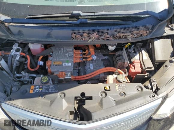 ✅ 2017 Chevrolet Bolt EV LT • VIN: 1G1FW6S08H4188837 • Lot: 57904665. Wystawiony na Copart z przebiegiem 124 475 mil. Bezpłatny archiwum sprzedaży aukcyjnych z USA i szczegółowy raport historii pojazdu na DreamBid. Zdjęcie 12.