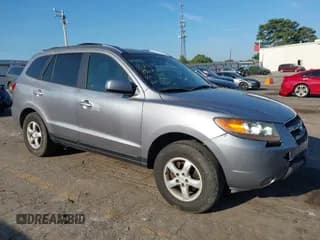 ✅ 2007 Hyundai Santa Fe GLS • VIN: 5NMSG13D17H051347 • Lot: 43202148. Listed on IAAI with 217,307 mi. Free auction sales archive from the USA and detailed vehicle history report at DreamBid. Image 1.