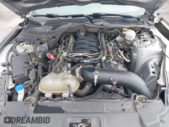 ✅ 2020 Ford Mustang GT • VIN: 1FA6P8CF3L5168801 • Lot: 42616416. Listed on IAAI with 86,594 mi. Free auction sales archive from the USA and detailed vehicle history report at DreamBid. Image 10.