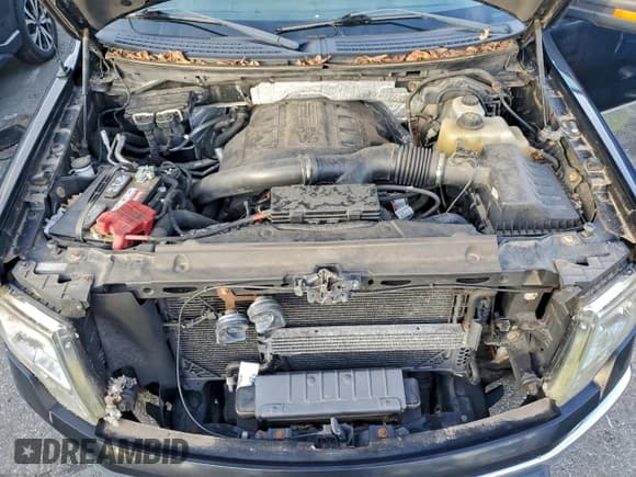 ✅ 2012 Ford F-150 XL • VIN: 1FTFX1ET6CFC14765 • Lot: 95118605. Listed on Copart with 123,477 mi. Free auction sales archive from the USA and detailed vehicle history report at DreamBid. Image 11.