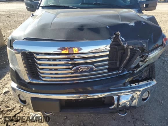 ✅ 2010 Ford F-150 XL • VIN: 1FTFX1EV8AKB99000 • Lot: 91394475. Listed on Copart with 155,076 mi. Free auction sales archive from the USA and detailed vehicle history report at DreamBid. Image 11.