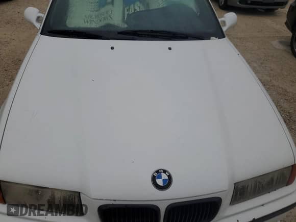 1997 BMW 3 Series M3s with VIN WBSCD9324VEE06968, listed as a Copart auction lot 74778854 with Not provided miles and Salvage title. Bid and sale history available at DreamBid. Image 11.