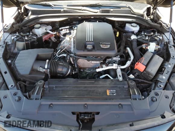 ✅ 2022 Cadillac CT5 Luxury • VIN: 1G6DX5RK5N0117002 • Lot: 47235445. Wystawiony na Copart z przebiegiem 36 003 mil. Bezpłatny archiwum sprzedaży aukcyjnych z USA i szczegółowy raport historii pojazdu na DreamBid. Zdjęcie 11.