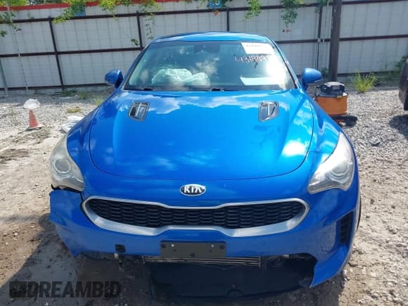 ✅ 2018 Kia Stinger • VIN: KNAE15LAXJ6035225 • Lot: 43188951. Listed on IAAI with 93,108 mi. Free auction sales archive from the USA and detailed vehicle history report at DreamBid. Image 13.