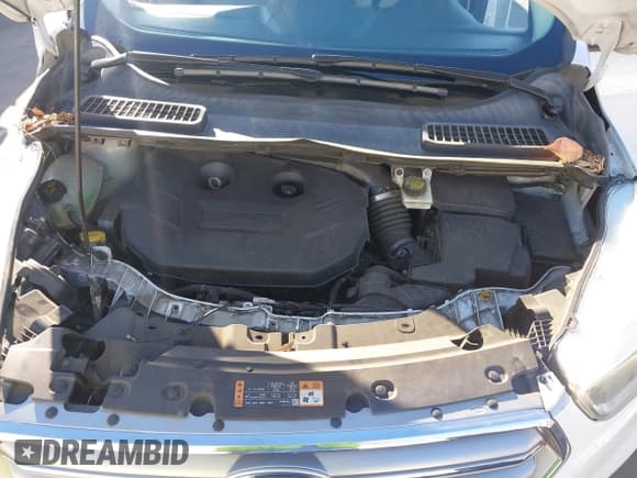 ✅ 2017 Ford Escape SE • VIN: 1FMCU0G94HUC53585 • Лот: 43465934. Опубликован ранее на IAAI с пробегом 144 694 миль. Бесплатный доступ к архиву аукционных продаж из США и подробный отчёт об истории автомобиля на DreamBid. Изображение 10.