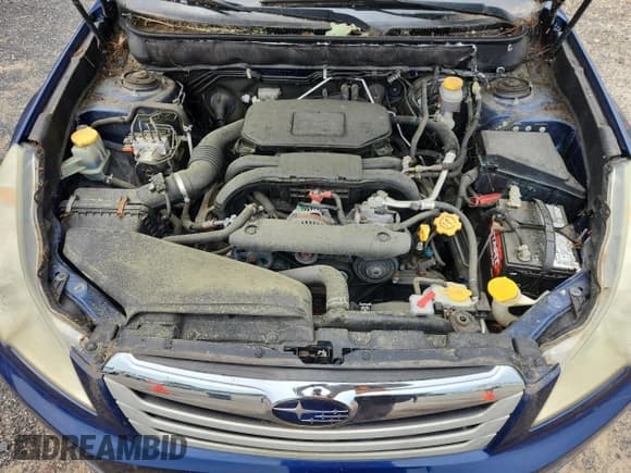 ✅ 2010 Subaru Outback Premium All-Weather Anniversary • VIN: 4S4BRBGC0A3384769 • Лот: 70843305. Опубликован ранее на Copart с пробегом 204 049 миль. Бесплатный доступ к архиву аукционных продаж из США и подробный отчёт об истории автомобиля на DreamBid. Изображение 12.