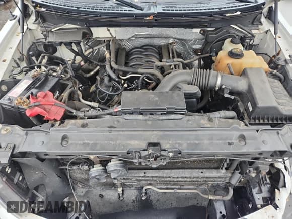 ✅ 2012 Ford F-150 XLT • VIN: 1FTFX1EF8CFB49914 • Lot: 86144765. Wystawiony na Copart z przebiegiem 248 811 mil. Bezpłatny archiwum sprzedaży aukcyjnych z USA i szczegółowy raport historii pojazdu na DreamBid. Zdjęcie 11.