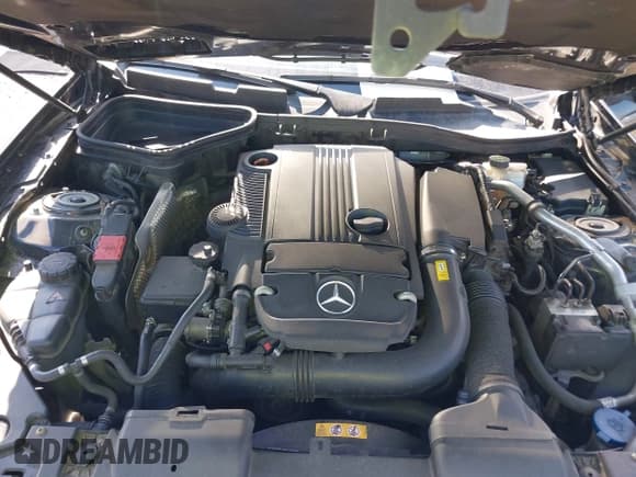 ✅ 2014 Mercedes-Benz SLK 250 • VIN: WDDPK4HA8EF080820 • Lot: 43094874. Wystawiony na IAAI z przebiegiem 135 102 mil. Bezpłatny archiwum sprzedaży aukcyjnych z USA i szczegółowy raport historii pojazdu na DreamBid. Zdjęcie 10.