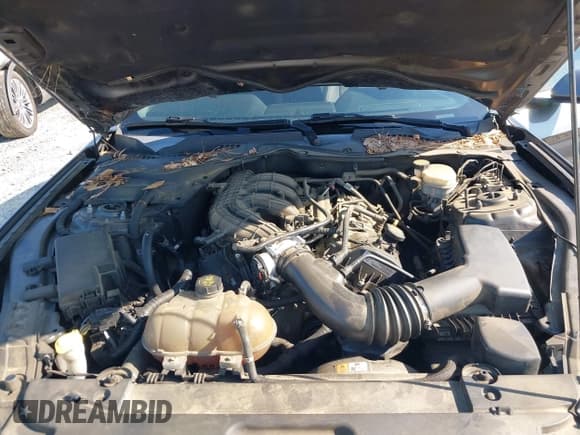 ✅ 2016 Ford Mustang V6 • VIN: 1FA6P8AM0G5210574 • Lot: 42259241. Listed on IAAI with 170,162 mi. Free auction sales archive from the USA and detailed vehicle history report at DreamBid. Image 10.