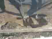 2018 Dodge Challenger R/T with VIN 2C3CDZBT4JH146576, listed as a IAAI auction lot 43050820 with 114,151 mi miles and . Bid and sale history available at DreamBid. Image 19.