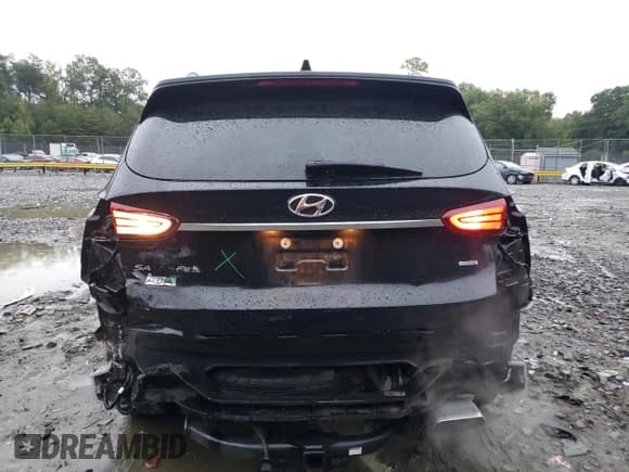 ✅ 2020 Hyundai Santa Fe SEL • VIN: 5NMS3CAD7LH160030 • Lot: 66655343. Wystawiony na Copart z przebiegiem 46 173 mil. Bezpłatny archiwum sprzedaży aukcyjnych z USA i szczegółowy raport historii pojazdu na DreamBid. Zdjęcie 6.