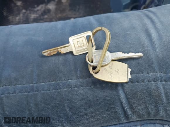 ✅ 1984 Buick Riviera • VIN: 1G4AZ57Y5EE411516 • Lot: 42190197. Wystawiony na IAAI z przebiegiem 5 383 mil. Bezpłatny archiwum sprzedaży aukcyjnych z USA i szczegółowy raport historii pojazdu na DreamBid. Zdjęcie 11.