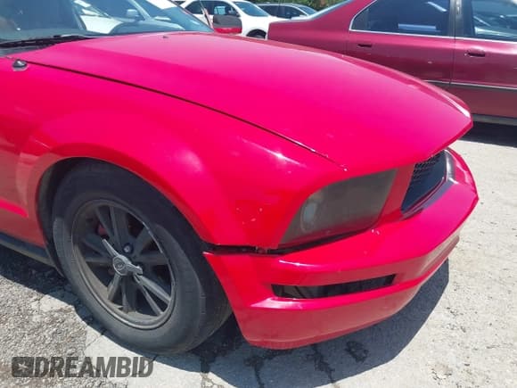 ✅ 2005 Ford Mustang Deluxe • VIN: 1ZVFT80N855144821 • Lot: 42526806. Listed on IAAI with 159,241 mi. Free auction sales archive from the USA and detailed vehicle history report at DreamBid. Image 6.